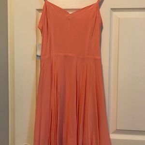 NWT Aritzia Dress